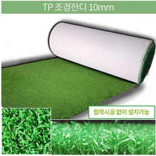 TPR Latex 조경인조잔디 10mm